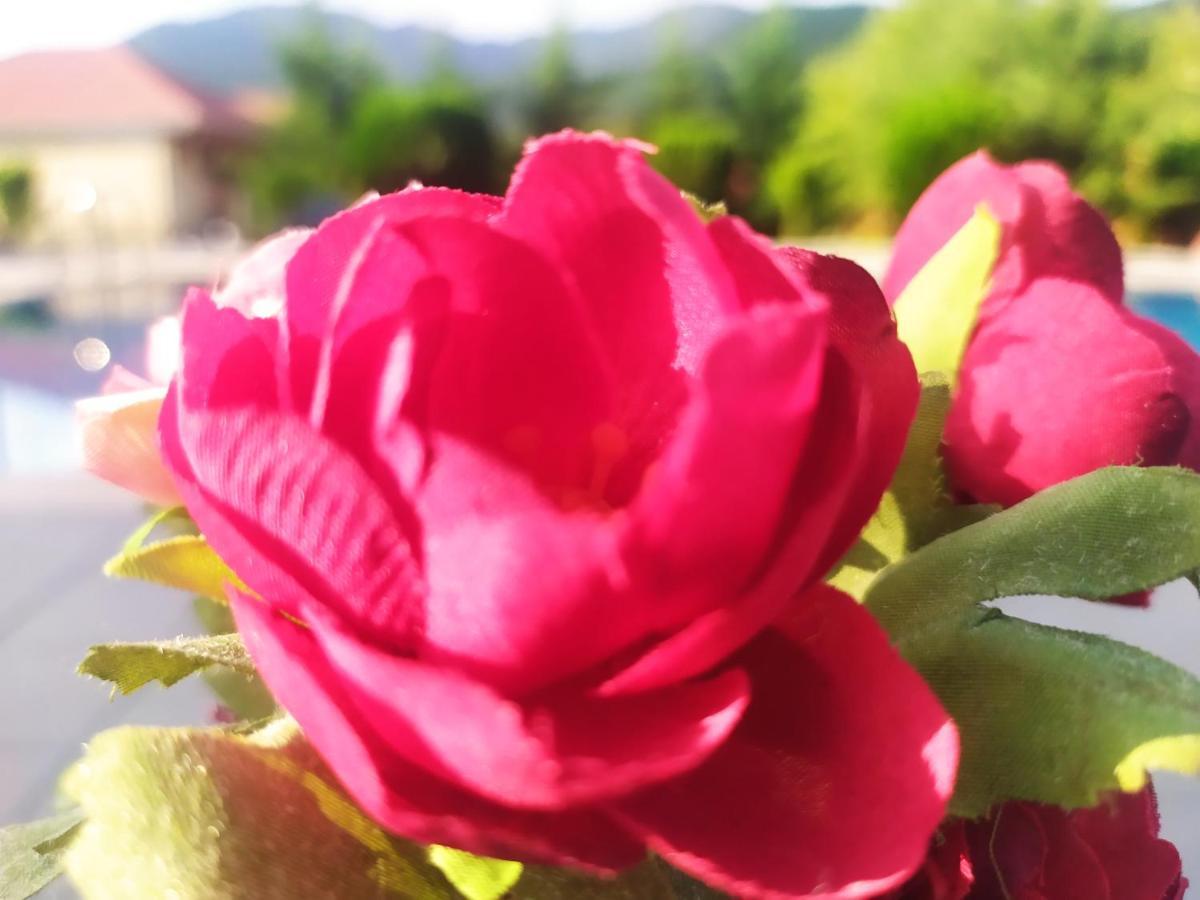 Bliss Hotel Габала Екстер'єр фото