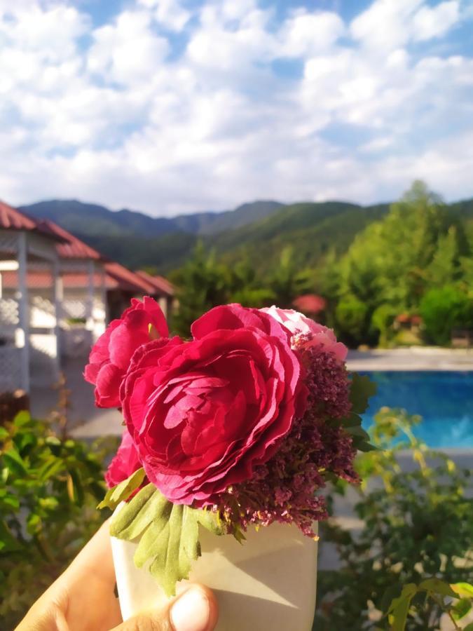 Bliss Hotel Габала Екстер'єр фото